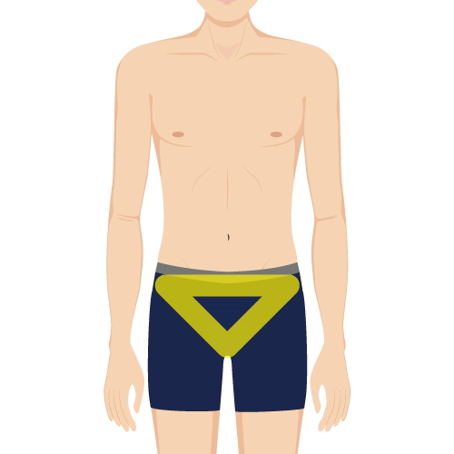 Vライン照射範囲