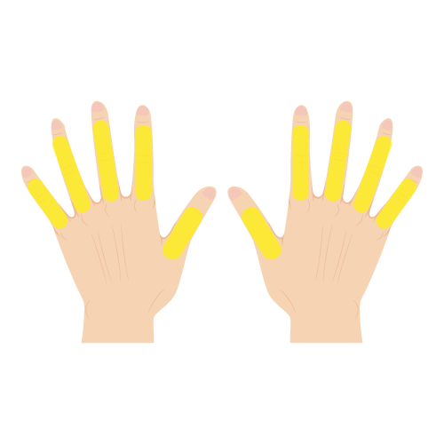 手の指照射範囲