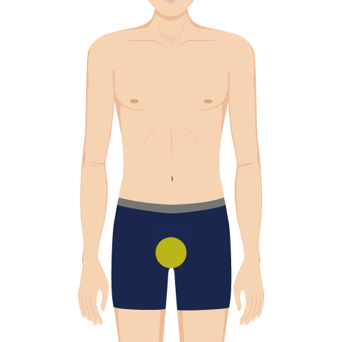 男性器(竿)照射範囲