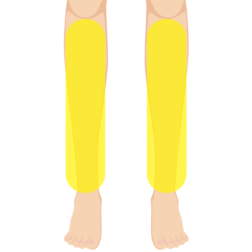 ひざ下照射範囲