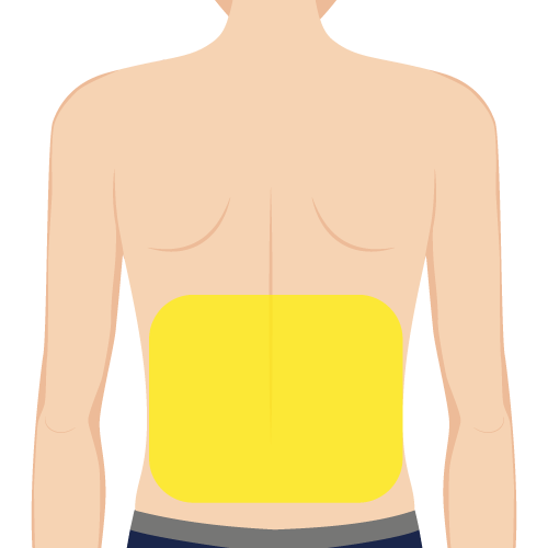 背中下照射範囲